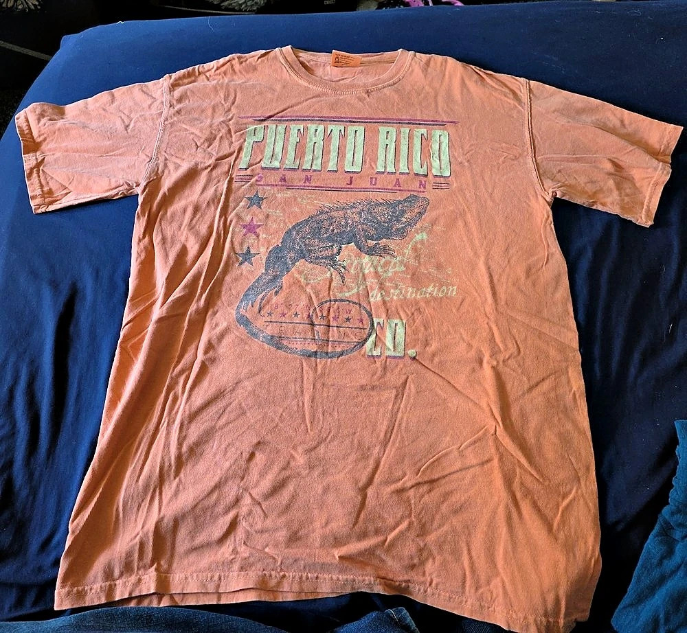 Graphic Short Sleeve Tee in Orange
